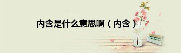 内含是什么意思啊（内含）