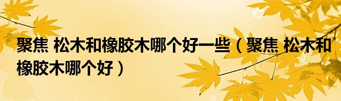 聚焦 松木和橡胶木哪个好一些(聚焦 松木和橡胶木哪个好)