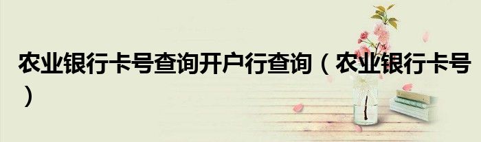 农业银行卡号查询开户行查询(农业银行卡号)
