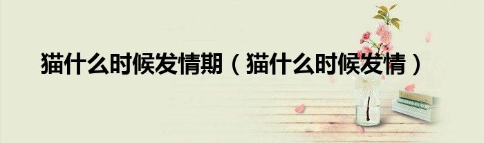 猫什么时候发情期(猫什么时候发情)