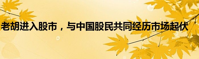 老胡进入股市,与中国股民共同经历市场起伏