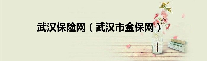 武汉保险网(武汉市金保网)