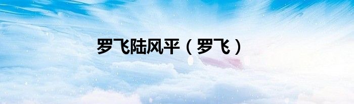 罗飞陆风平（罗飞）