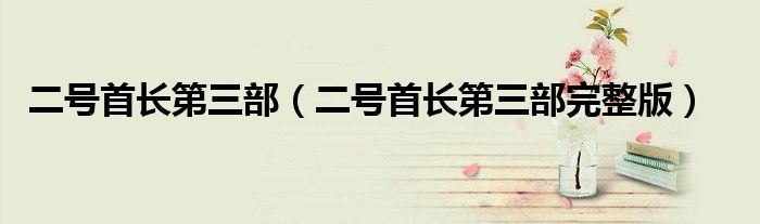 二号首长第三部(二号首长第三部完整版)