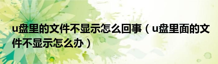 u盘里的文件不显示怎么回事(u盘里面的文件不显示怎么办)