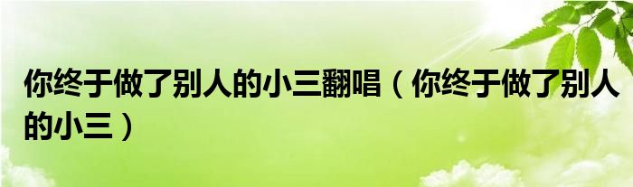你终于做了别人的小三翻唱(你终于做了别人的小三)