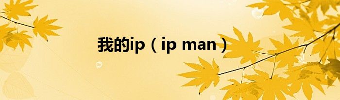 我的ip(ip man)