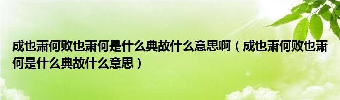 成也萧何败也萧何是什么典故什么意思啊(成也萧何败也萧何是什么典故什么意思)