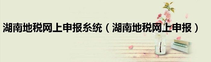 湖南地税网上申报糸统(湖南地税网上申报)