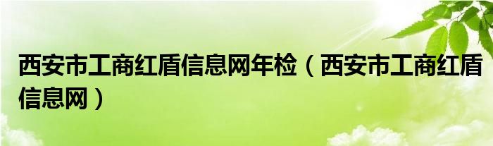 西安市工商红盾信息网年检(西安市工商红盾信息网)