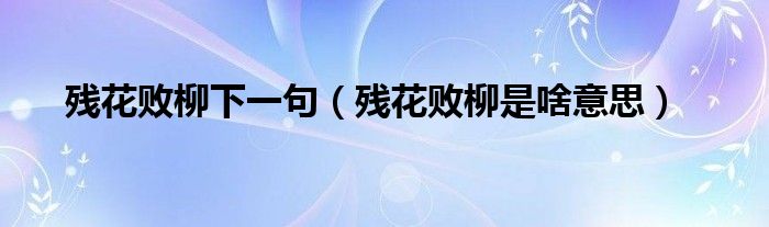 残花败柳下一句(残花败柳是啥意思)