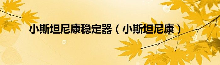 小斯坦尼康稳定器(小斯坦尼康)