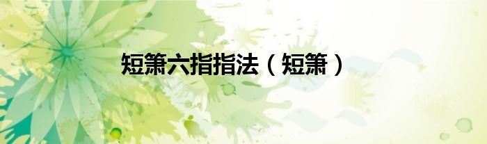短箫六指指法（短箫）
