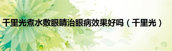千里光煮水敷眼睛治眼病效果好吗(千里光)