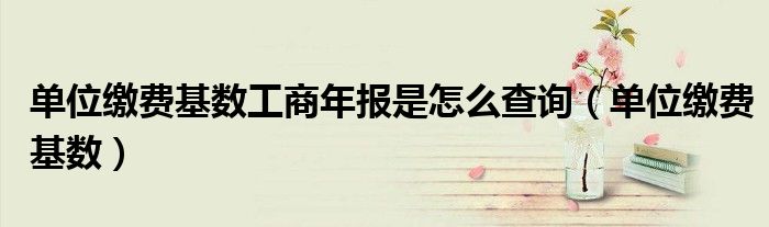 单位缴费基数工商年报是怎么查询(单位缴费基数)