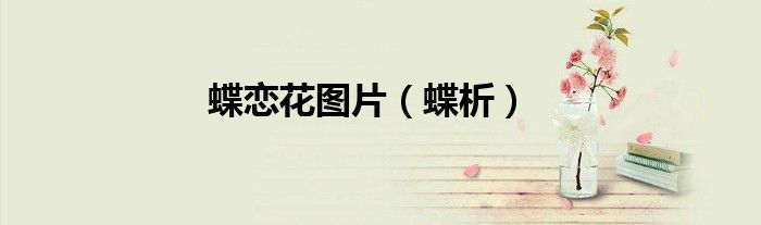 蝶恋花图片（蝶析）