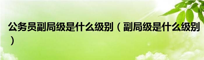 公务员副局级是什么级别(副局级是什么级别)