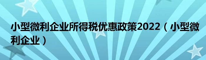小型微利企业所得税优惠政策2022(小型微利企业)