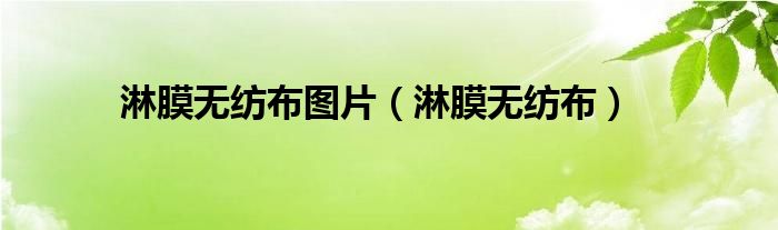 淋膜无纺布图片(淋膜无纺布)