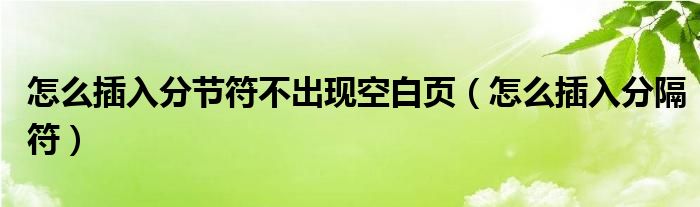怎么插入分节符不出现空白页(怎么插入分隔符)