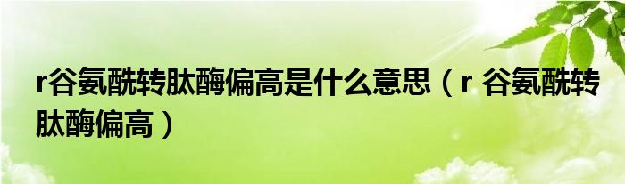 r谷氨酰转肽酶偏高是什么意思(r 谷氨酰转肽酶偏高)