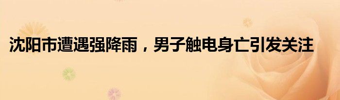 沈阳市遭遇强降雨,男子触电身亡引发关注