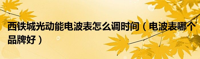西铁城光动能电波表怎么调时间(电波表哪个品牌好)