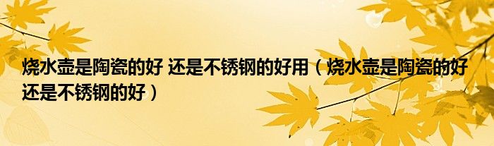 烧水壶是陶瓷的好 还是不锈钢的好用(烧水壶是陶瓷的好 还是不锈钢的好)