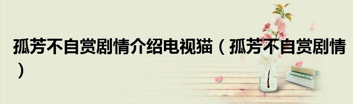 孤芳不自赏剧情介绍电视猫(孤芳不自赏剧情)