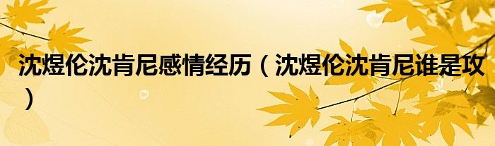沈煜伦沈肯尼感情经历(沈煜伦沈肯尼谁是攻)