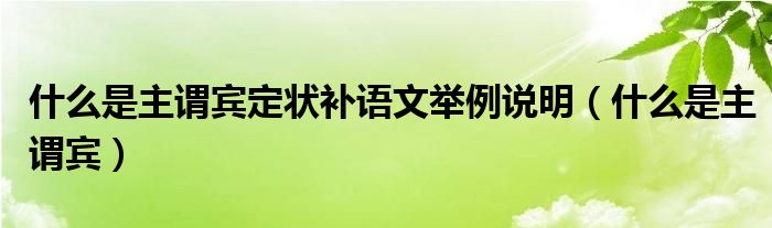什么是主谓宾定状补语文举例说明(什么是主谓宾)