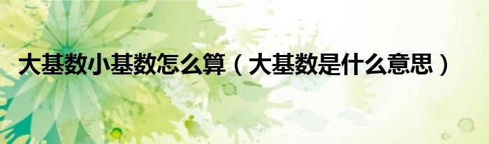 大基数小基数怎么算(大基数是什么意思)