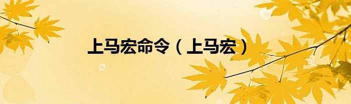 上马宏命令（上马宏）