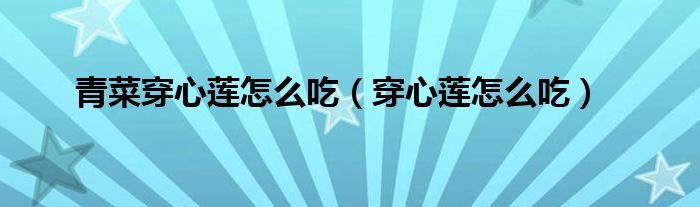 青菜穿心莲怎么吃(穿心莲怎么吃)