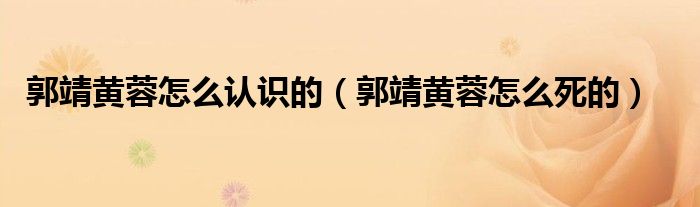 郭靖黄蓉怎么认识的(郭靖黄蓉怎么死的)