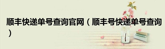 顺丰快递单号查询官网(顺丰号快递单号查询)