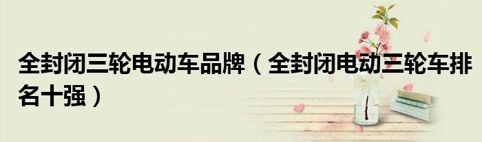全封闭三轮电动车品牌(全封闭电动三轮车排名十强)