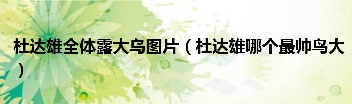 杜达雄全体露大乌图片(杜达雄哪个最帅鸟大)
