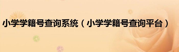 小学学籍号查询系统(小学学籍号查询平台)