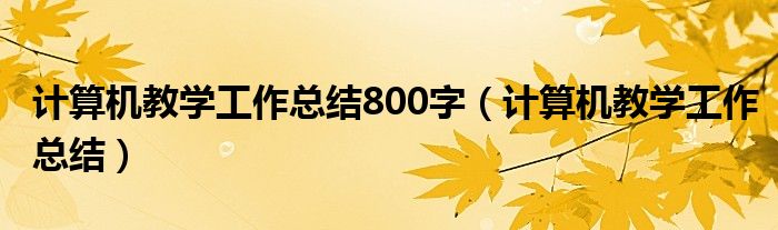 计算机教学工作总结800字(计算机教学工作总结)