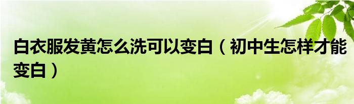 白衣服发黄怎么洗可以变白(初中生怎样才能变白)