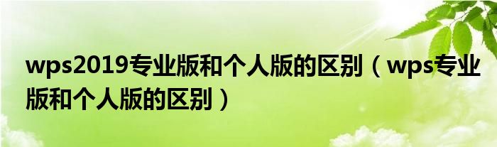 wps2019专业版和个人版的区别(wps专业版和个人版的区别)