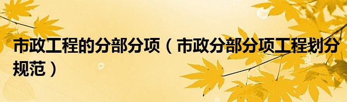 市政工程的分部分项(市政分部分项工程划分规范)