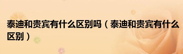 泰迪和贵宾有什么区别吗(泰迪和贵宾有什么区别)