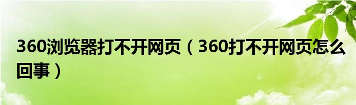 360浏览器打不开网页(360打不开网页怎么回事)