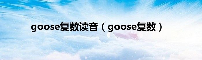 goose复数读音(goose复数)