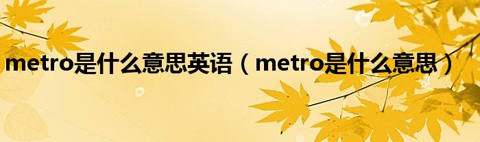 metro是什么意思英语(metro是什么意思)
