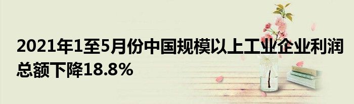 2021年1至5月份中国规模以上工业企业利润总额下降18.8%