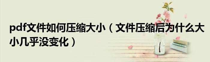 pdf文件如何压缩大小(文件压缩后为什么大小几乎没变化)