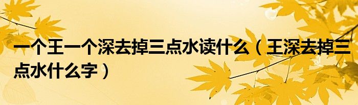 一个王一个深去掉三点水读什么(王深去掉三点水什么字)
